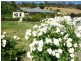 Lot 3 Main North Road, Clare SA 5453