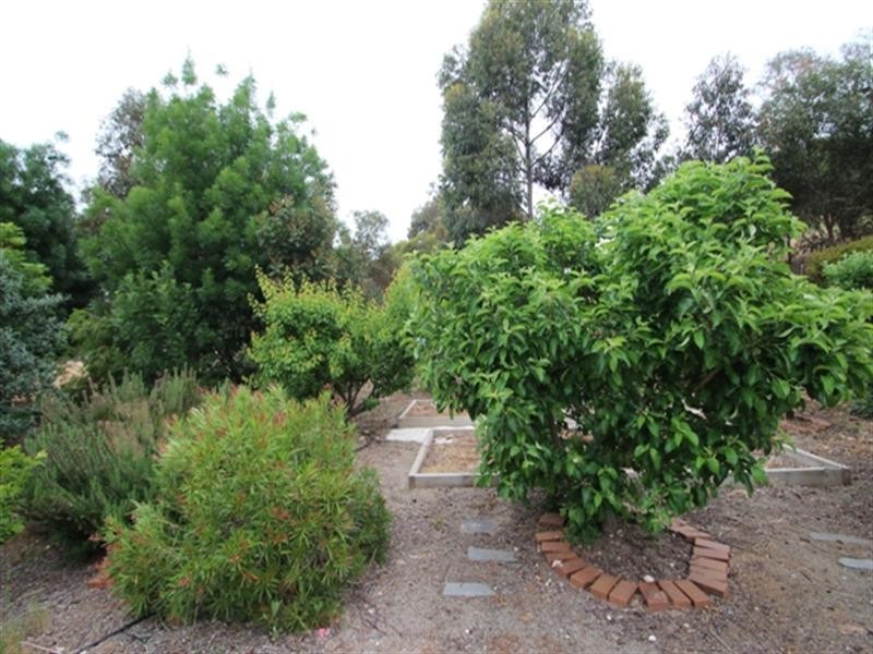 Lot 3 Main North Road, Clare SA 5453