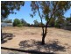 Lot 176 Main Street, Owen SA 5460
