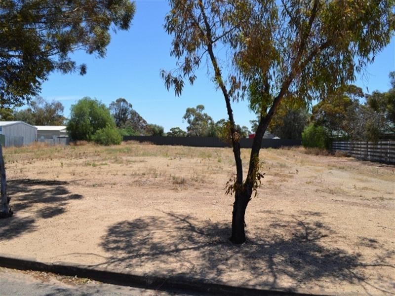 Lot 176 Main Street, Owen SA 5460