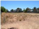 Lot 176 Main Street, Owen SA 5460
