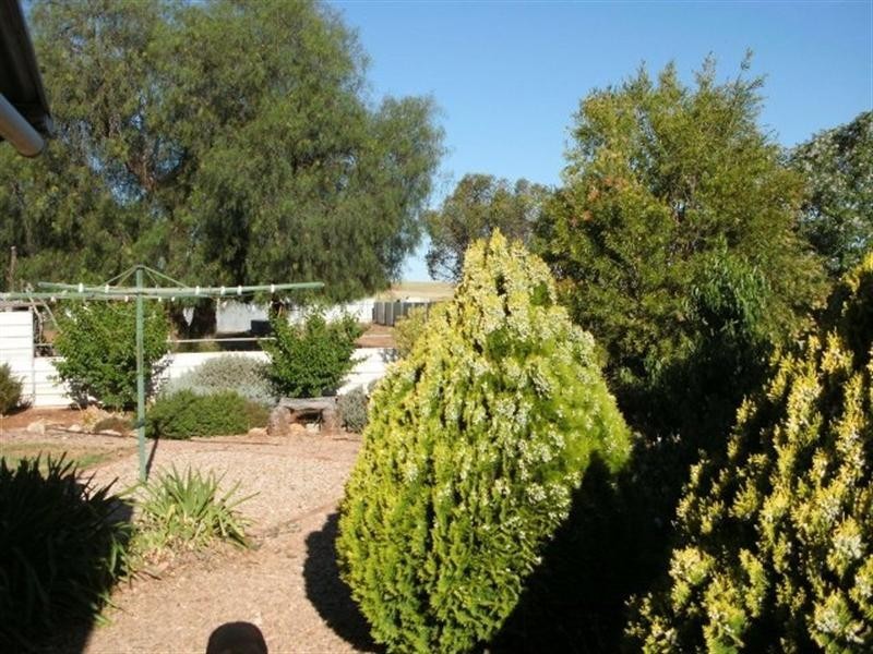 51 Mill Street, Gladstone SA 5473