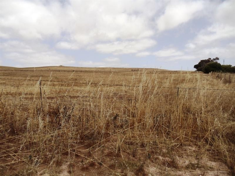 1 Pepper Road, Ardrossan SA 5571