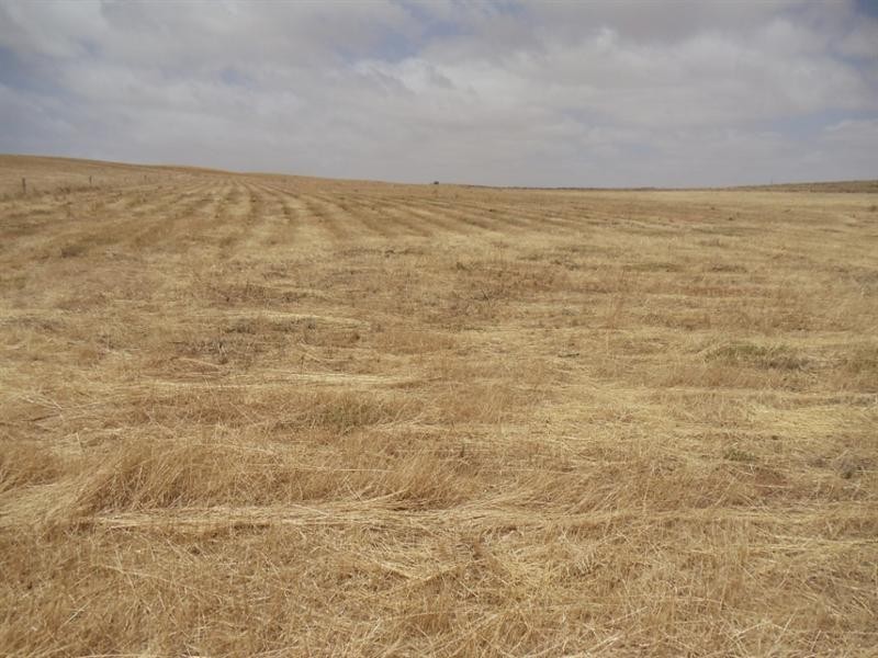 1 Pepper Road, Ardrossan SA 5571