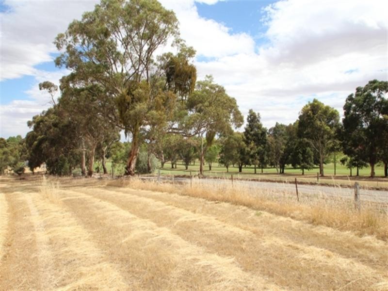 Square Mile Road, Clare SA 5453
