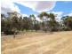 Square Mile Road, Clare SA 5453
