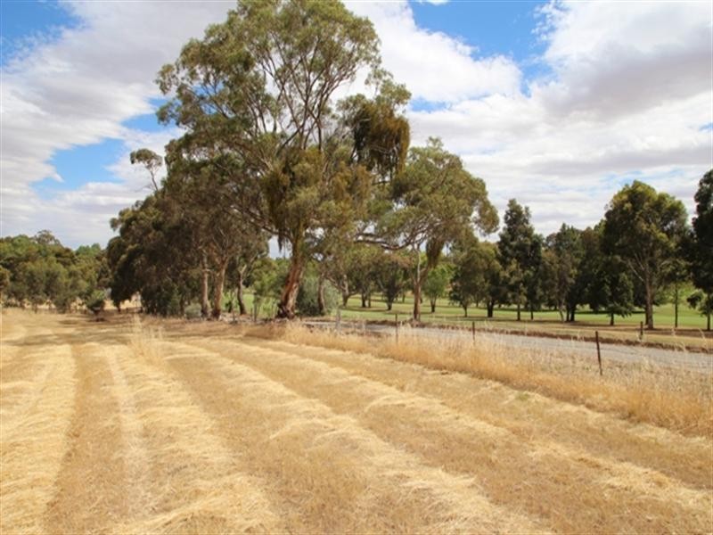 Square Mile Road, Clare SA 5453