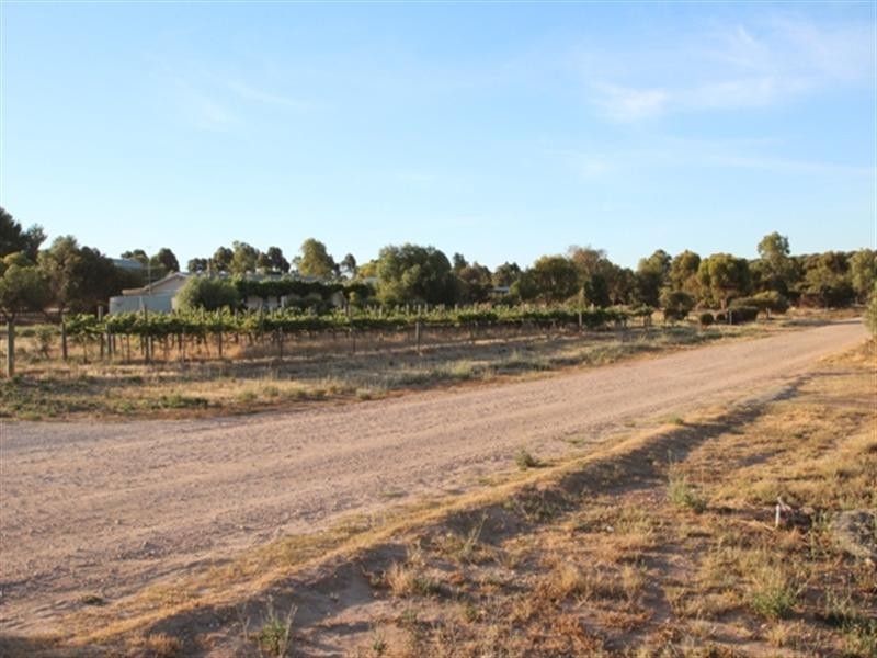 Lot 4 Dennis Road, Auburn SA 5451