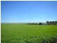 “Baldina” 4 Lots, South Hummocks SA 5550