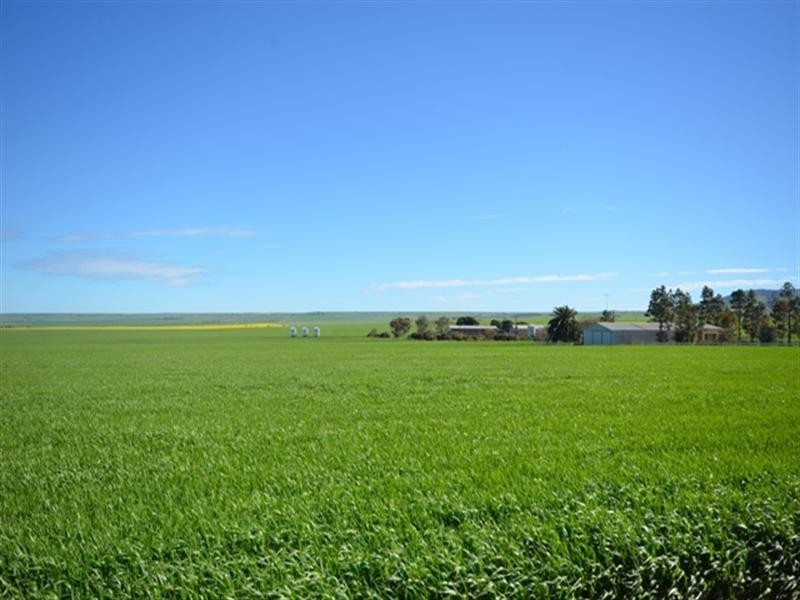 “Baldina” 4 Lots, South Hummocks SA 5550