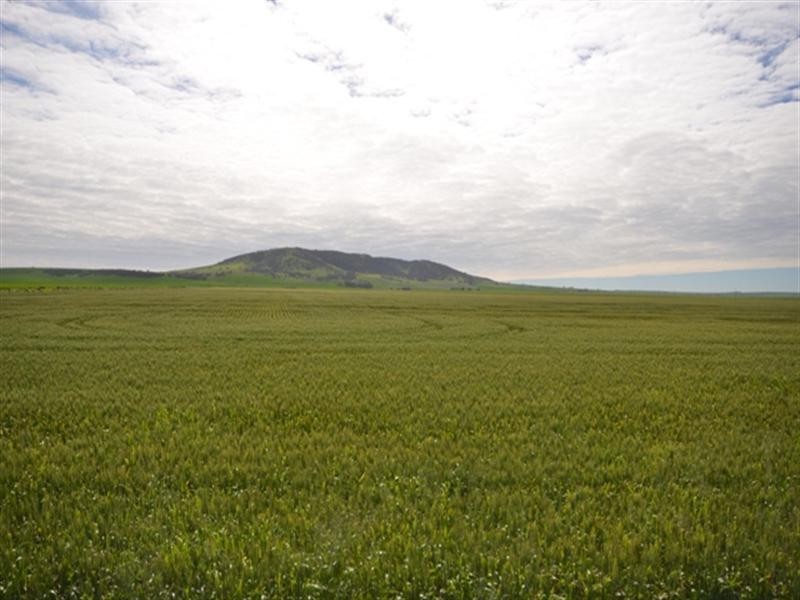 “Baldina” 4 Lots, South Hummocks SA 5550