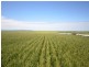 “Baldina” 4 Lots, South Hummocks SA 5550