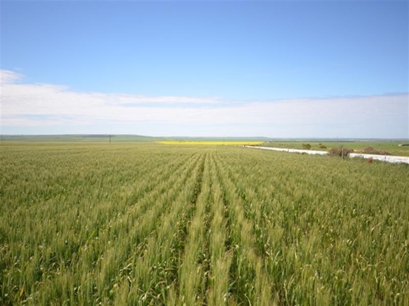 “Baldina” 4 Lots, South Hummocks SA 5550