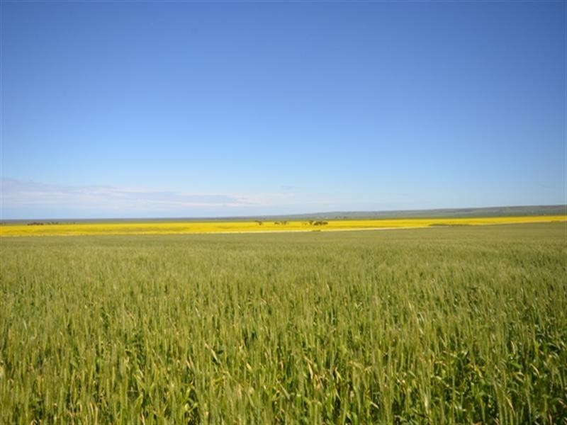 “Baldina” 4 Lots, South Hummocks SA 5550