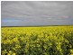 “Baldina” 4 Lots, South Hummocks SA 5550