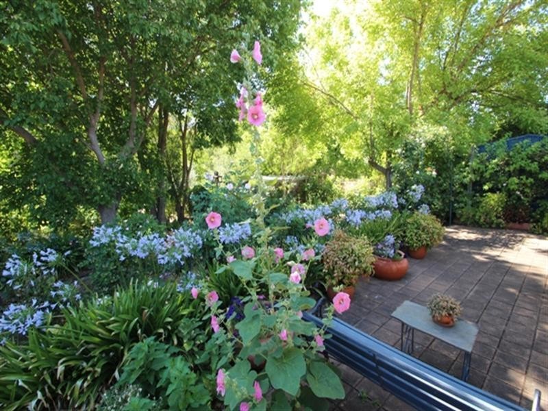 1 Daly Street, Auburn SA 5451