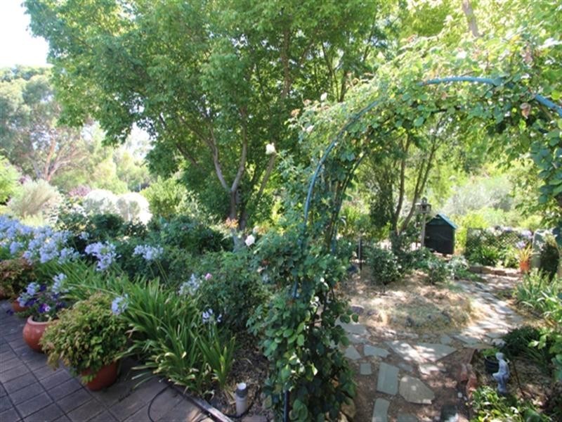 1 Daly Street, Auburn SA 5451