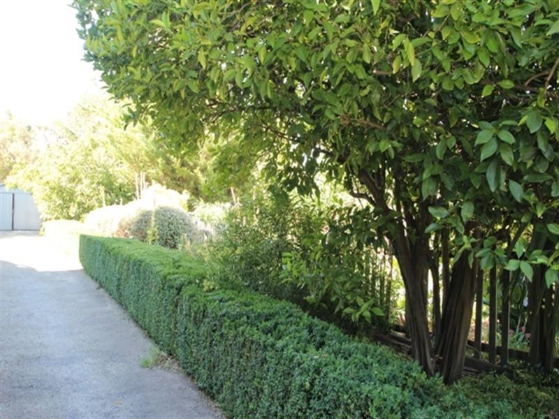 Auburn Post Office and Residence, Auburn SA 5451