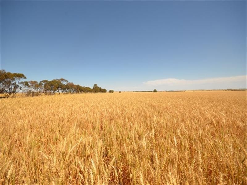Lambruk 2 Lots, Kybunga SA 5453