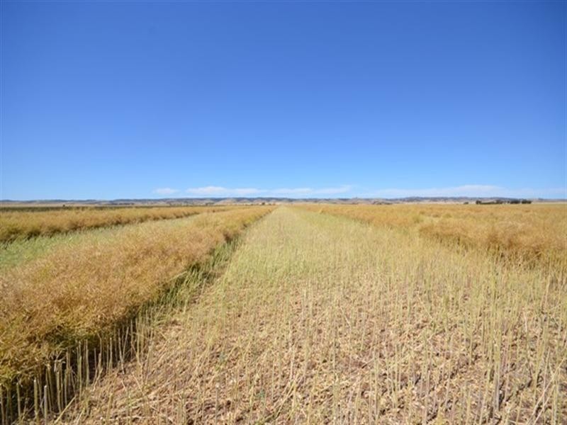 Lambruk 2 Lots, Kybunga SA 5453