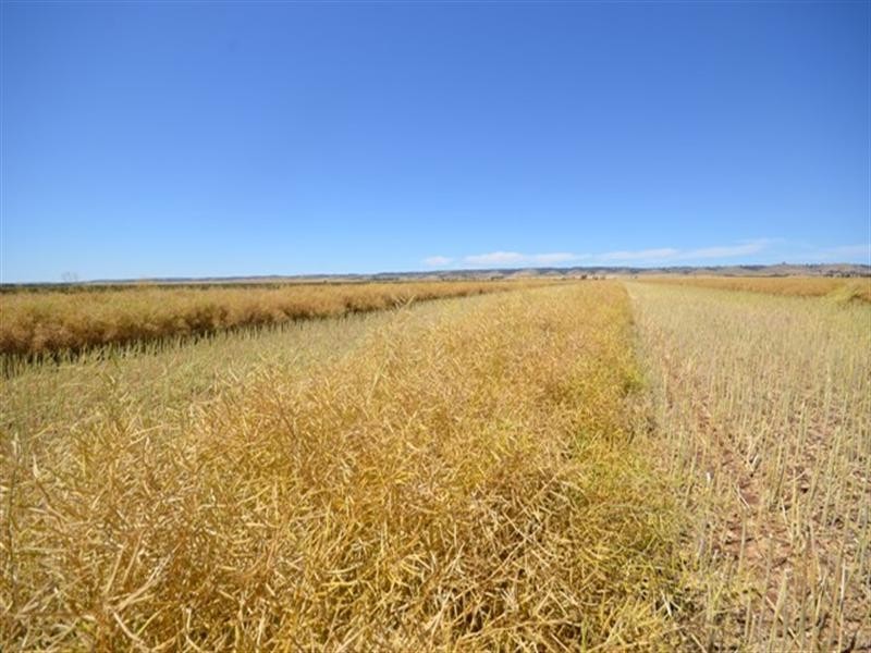 Lambruk 2 Lots, Kybunga SA 5453