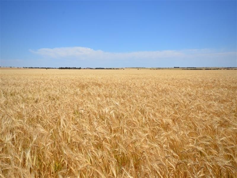 Lambruk 2 Lots, Kybunga SA 5453