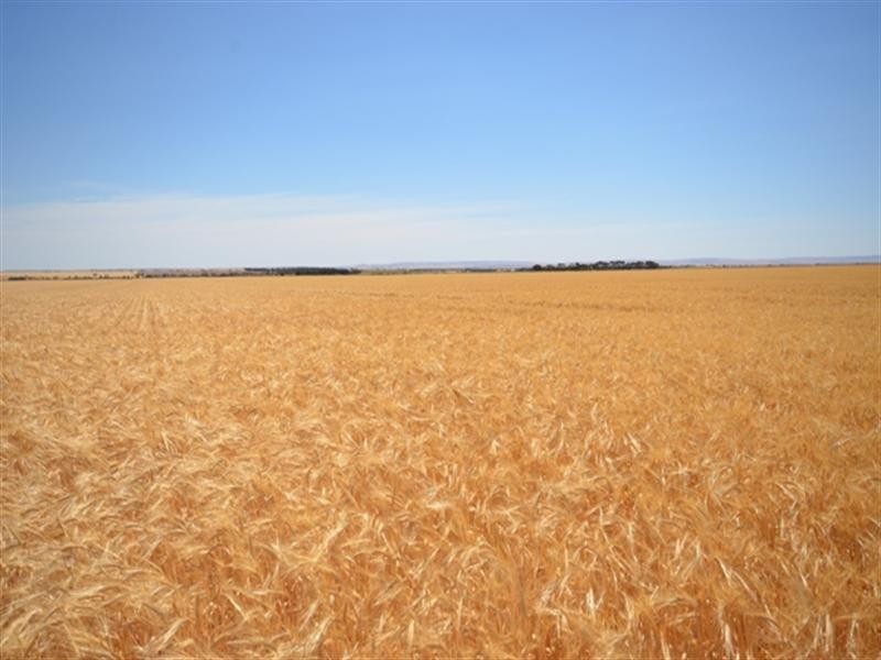 Lambruk 2 Lots, Kybunga SA 5453