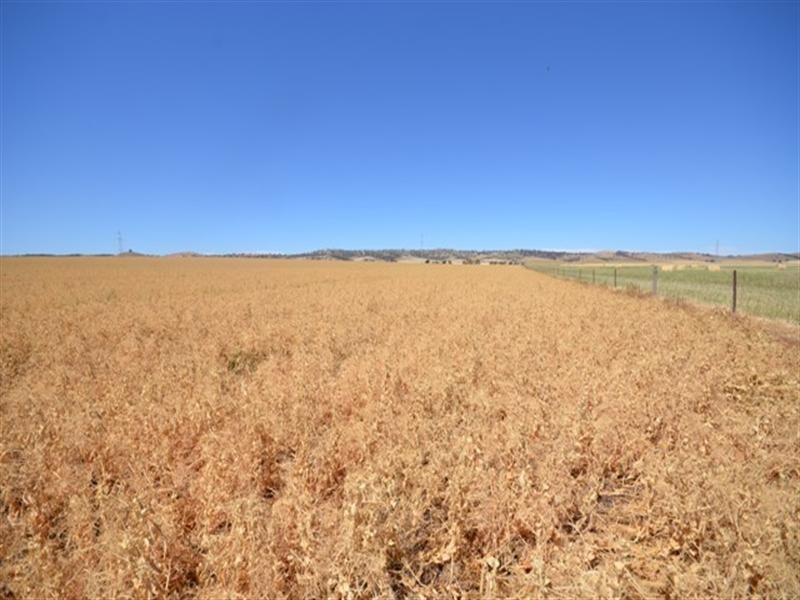 Lambruk 2 Lots, Kybunga SA 5453