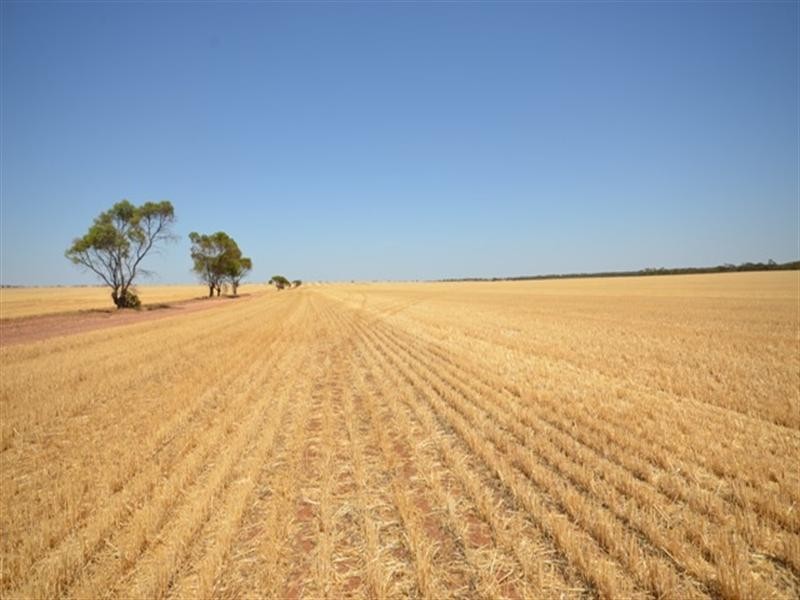 “Abbott’s” Sec 173, Paskeville SA 5552