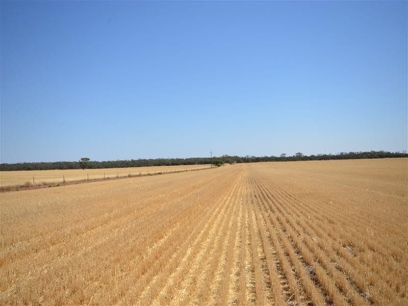 “Abbott’s” Sec 173, Paskeville SA 5552