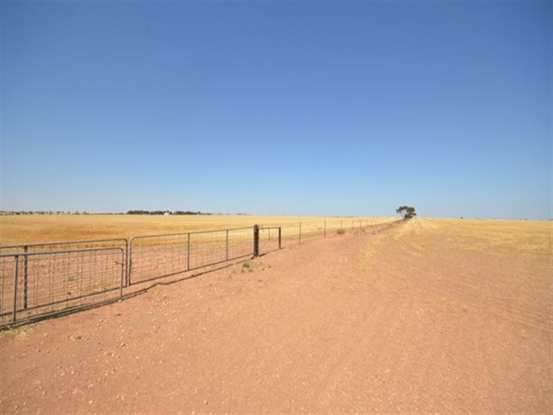 “Abbott’s” Sec 173, Paskeville SA 5552