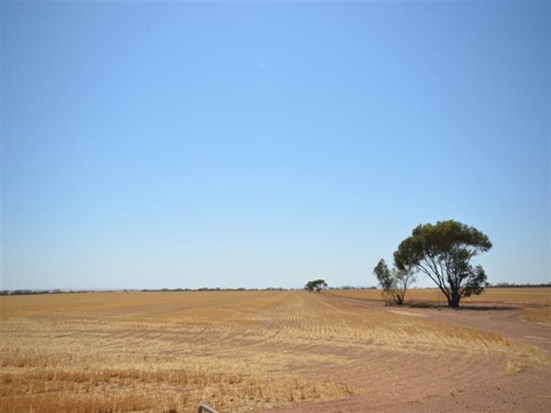 “Abbott’s” Sec 173, Paskeville SA 5552