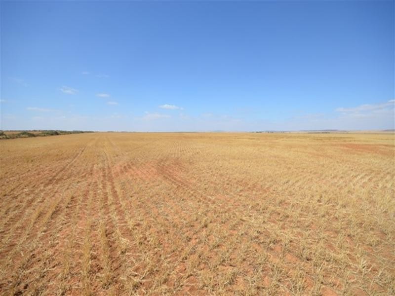 “Watson’s” Namyah Road, Condowie SA 5464