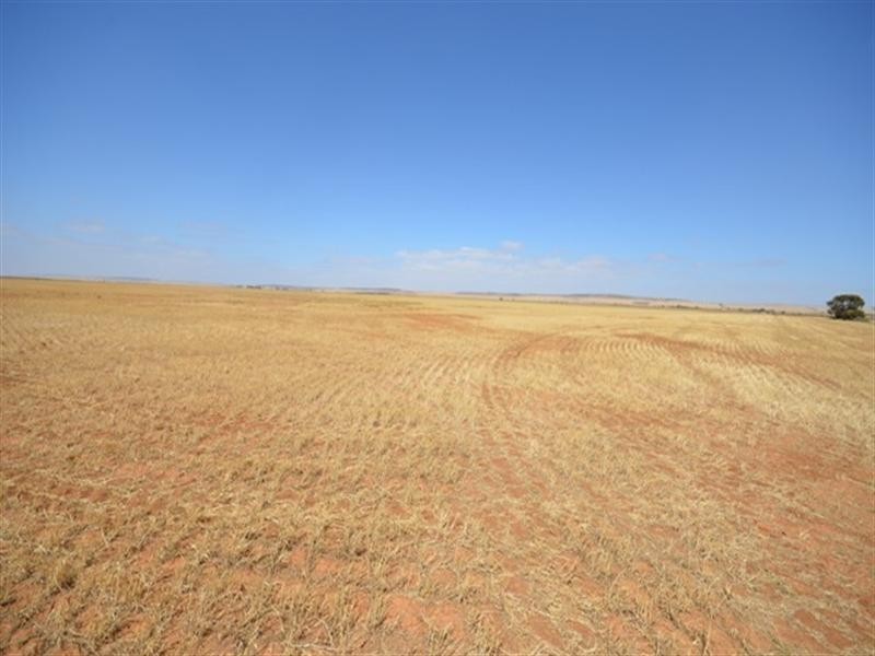 “Watson’s” Namyah Road, Condowie SA 5464