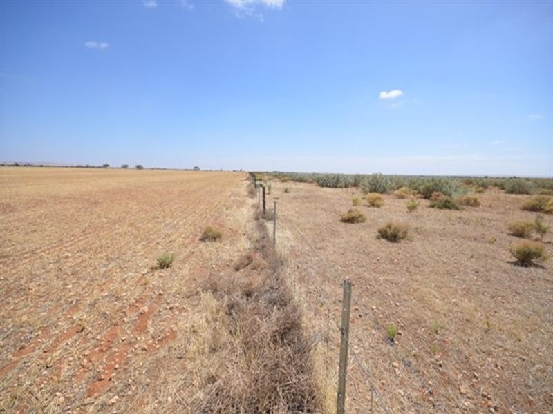 “Watson’s” Namyah Road, Condowie SA 5464