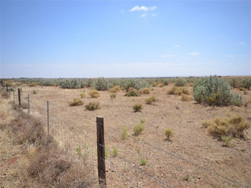 “Watson’s” Namyah Road, Condowie SA 5464