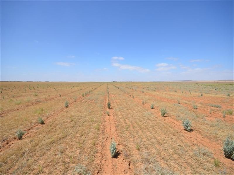 “Watson’s” Namyah Road, Condowie SA 5464