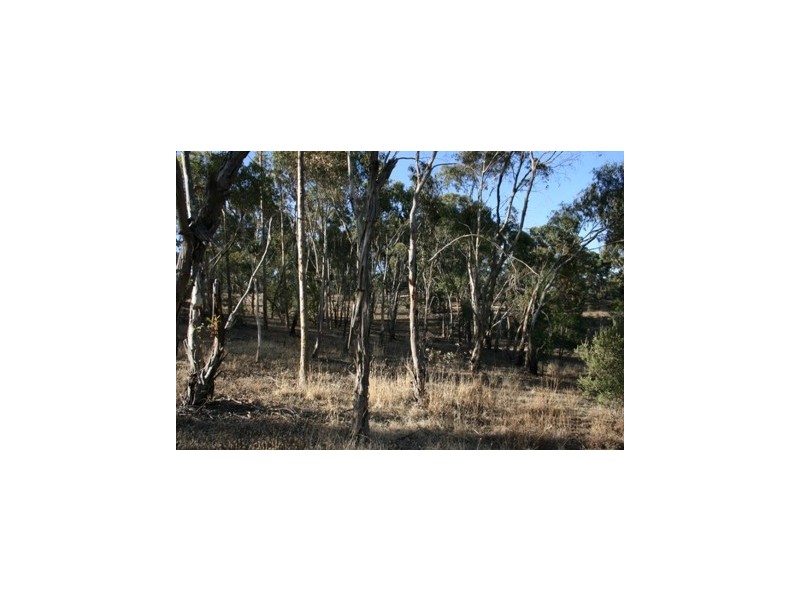 Lot 1 High Street, Armagh SA 5453