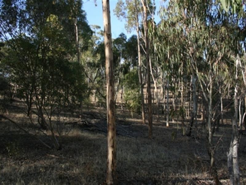 Lot 1 High Street, Armagh SA 5453