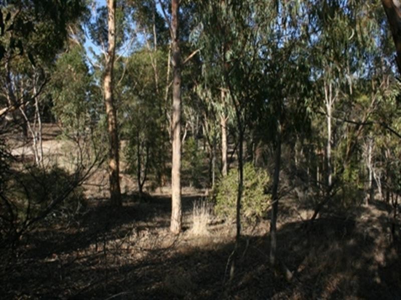 Lot 1 High Street, Armagh SA 5453