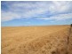 Lot 2 “Smith’s” and “McArdles”, Wild Horse Plains SA 5501