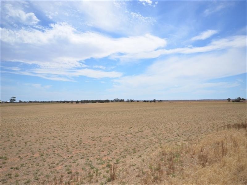 Lot 2 “Smith’s” and “McArdles”, Wild Horse Plains SA 5501