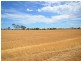 Lot 2 “Smith’s” and “McArdles”, Wild Horse Plains SA 5501
