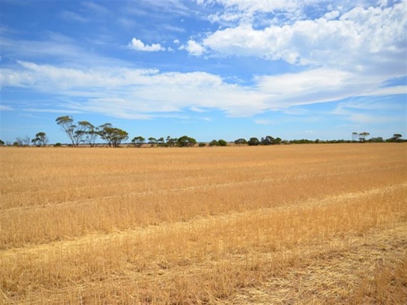 Lot 2 “Smith’s” and “McArdles”, Wild Horse Plains SA 5501