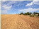 Lot 2 “Smith’s” and “McArdles”, Wild Horse Plains SA 5501