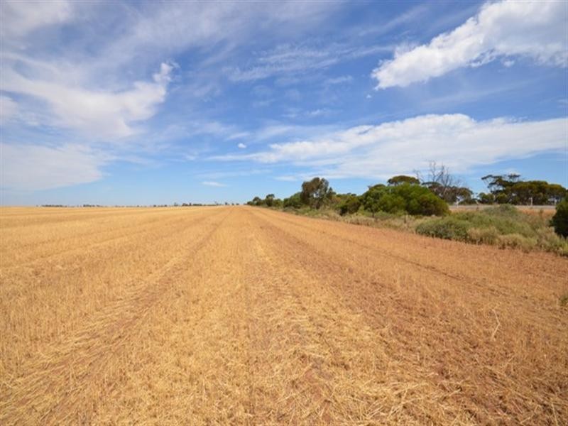 Lot 2 “Smith’s” and “McArdles”, Wild Horse Plains SA 5501