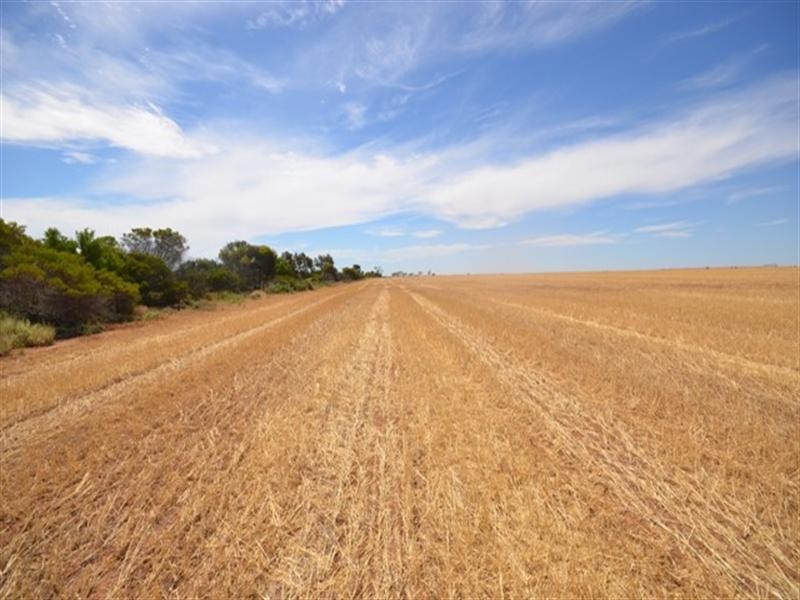 Lot 2 “Smith’s” and “McArdles”, Wild Horse Plains SA 5501