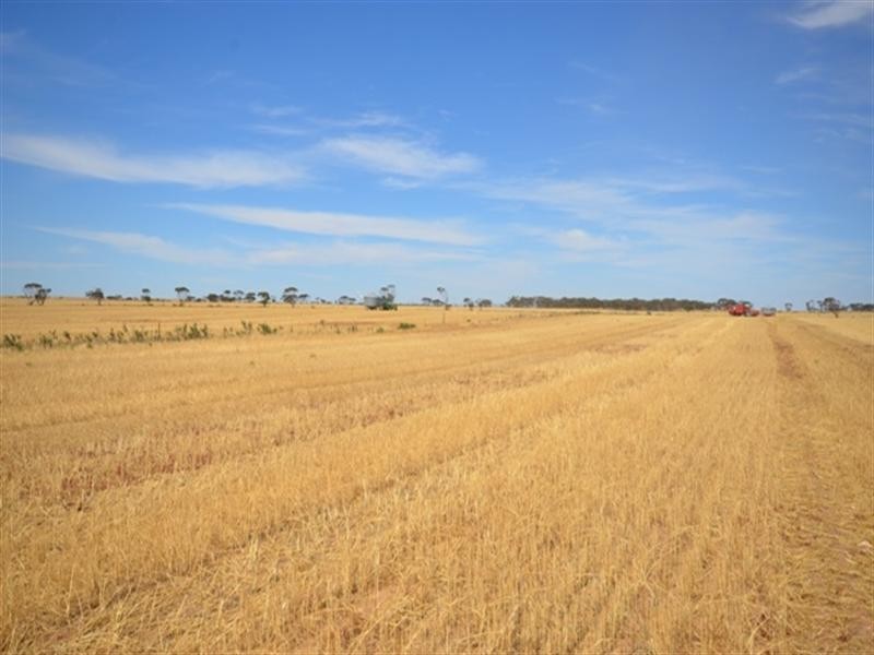 Lot 2 “Smith’s” and “McArdles”, Wild Horse Plains SA 5501