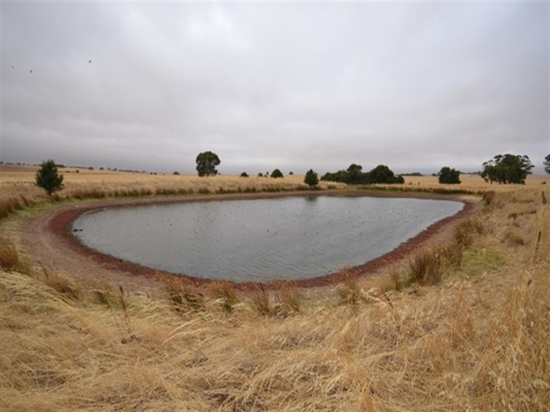 “Nunyara” Dust Bowl Road, Murray Town SA 5481