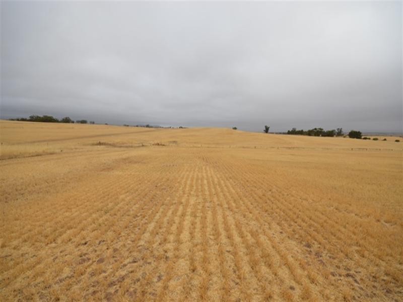 “Nunyara” Dust Bowl Road, Murray Town SA 5481